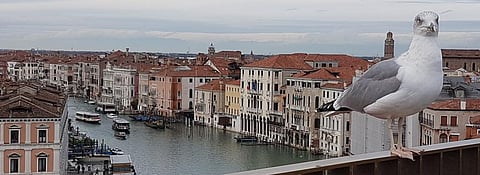 Why is Venice drowning?