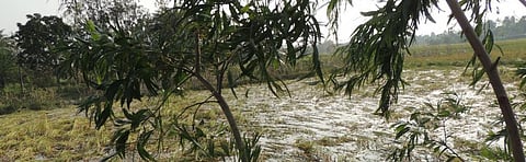 Bulbul ‘more dangerous than Aila’: Affected people