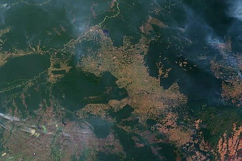 Photo: wikipedia commons