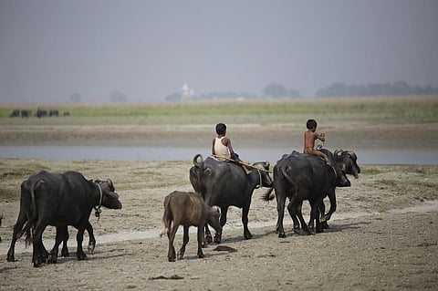 फोटो: विकास चौधरी 