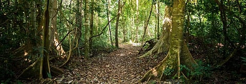 Cost of mitigation: How cheap can it be