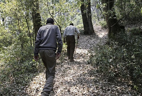 फोटो: विकास चौधरी