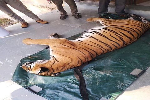Photo : वर्षा सिंह 