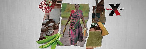 Look back at the decade: Food