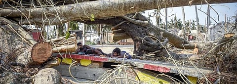 Natural disasters cost $232 bln in 2019