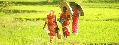Exclusion errors: Decoding the female face of agricultural crisis 