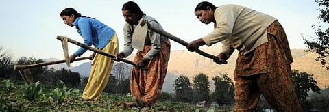 Women farmers demand recognition from govt at 2-day meet 