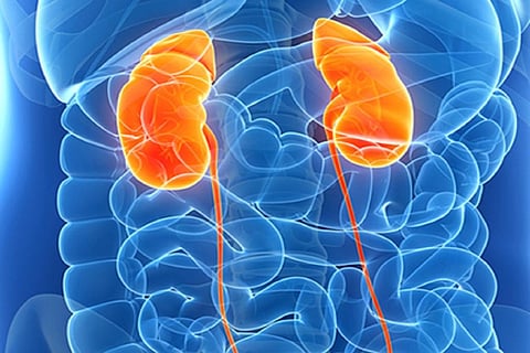 Photo credit: niddk.nih.gov