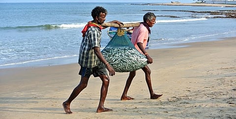 Union Budget 2020-21: Fisheries experts raise concerns over ‘blue economy’