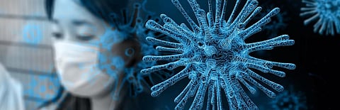 Novel Coronavirus: What’s in a name?