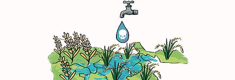 Arsenic: Lurking in the shadows across Ganga, Brahmaputra basins 