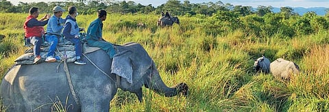 Wildlife recall: Manas National Park's experiment with former poachers