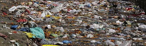 Is implementation of plastic ban in various states confined to paper?