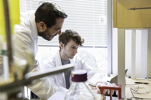 Researchers Jason McLellan (left) and Daniel Wrapp study the structure of the novel coronavirus. Photo: Vivian Abagiu / University of Texas 