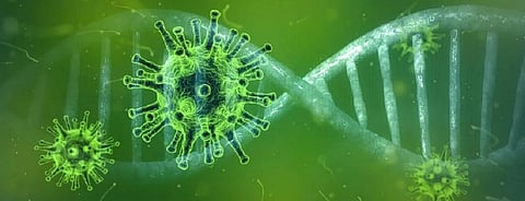 COVID-19: Egypt, South Africa, Algeria at highest risk in Africa 