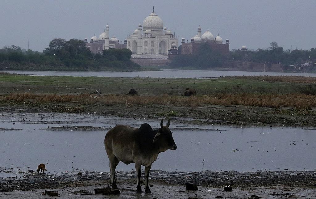 सुप्रीम कोर्ट ने फारेस्ट रिसर्च इंस्टिट्यूट को दिया ताज ट्रेपेजियम जोन में पेड़ों की गिनती करने का आदेश
