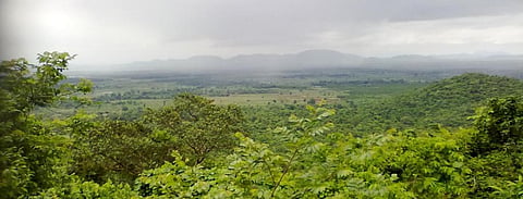 In a first, Odisha studies potential forest land under FRA 