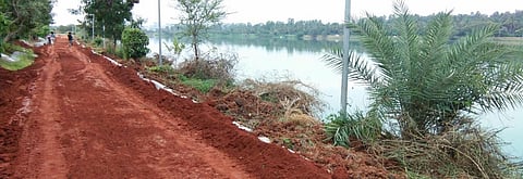 Jakkur lake. In Bengaluru commons, cows graze on the edges of lakes and community fishing is practiced in waste weirs. Photo: Wikimedia Commons 