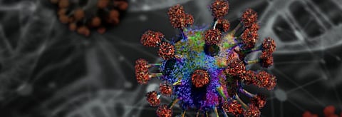 COVID-19: Two new cases confirmed in India