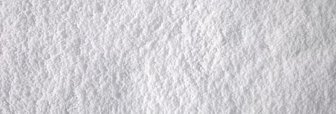 Species dependant on snow layer at risk: Study
