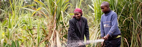 Not just farmers: Understanding rural aspirations is key to Kenya’s future