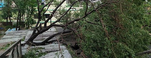 WMO report flags heatwave, cyclone conditions in India 