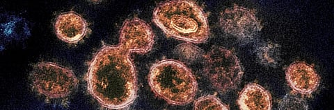 COVID-19 outbreak: Centre blames supply chain disruption for shortage of PPEs