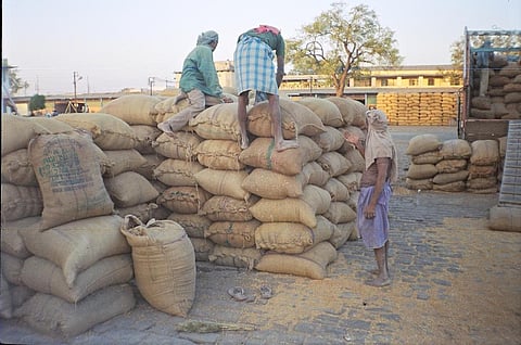 Food for all to free for all: Unconcerned WTO make matters worse