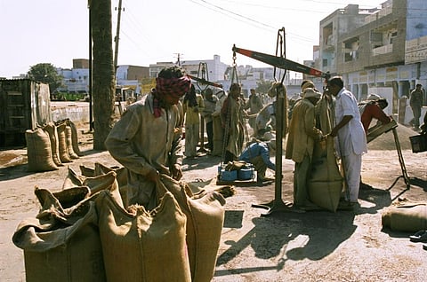 फाइल फोटो: सीएसई