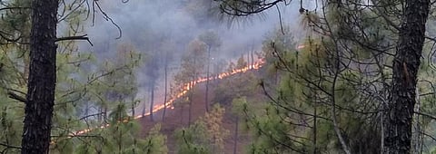 Bihar’s advice to villagers — cook lunch early morning to avoid fire incidents
