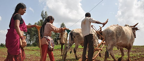 COVID-19: How ‘Confarm’ is leading the way in Telangana  