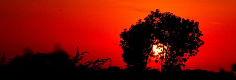 Summer commences in India, impact on COVID-19 unclear as of now