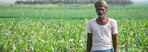 COVID-19: Delayed wheat harvest has Bihar worried over seeds
