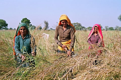 Gender gap in labour market stagnant since 1995, flags UN report 