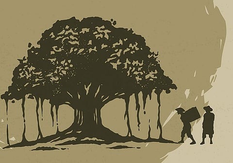 A letter from the jungle