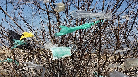 When these discarded masks are introduced in the local environment by humans, animals are its victims. (Image credit: iStock)