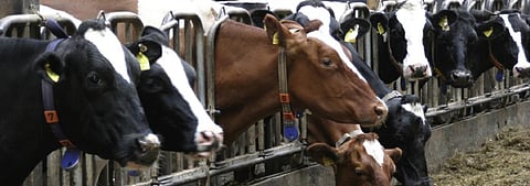 Earth Day 2020: It is time to change the way we grow our food