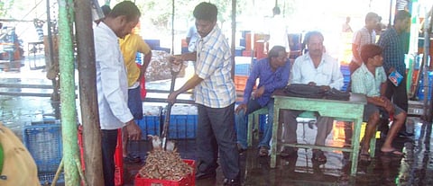 COVID-19: Odisha govt bans fish trade with West Bengal