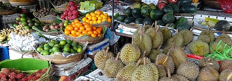 COVID-19 lockdown a pause in Himachal’s exotic vegetable success story 