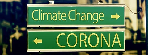 COVID-19: Green policies good for economy too, says study