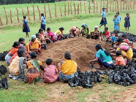 छत्तीसगढ़ के बस्तर के संघकरमरी गांव के ग्रामीण पौधारोपड़ के लिए थैलियों में मिट्टी भरने का काम करते हैं।  (सभी फोटो: बाबा मायाराम)
