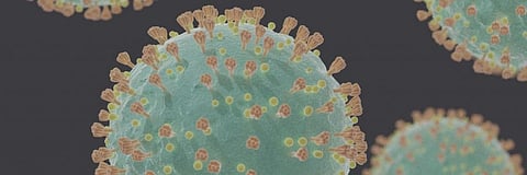 COVID-19: Here’s the difference between vaccines, antibodies