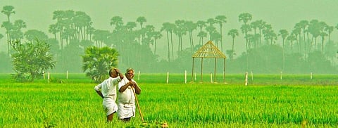 Common Facility Centre: A rallying point for SHG-FPO convergence 