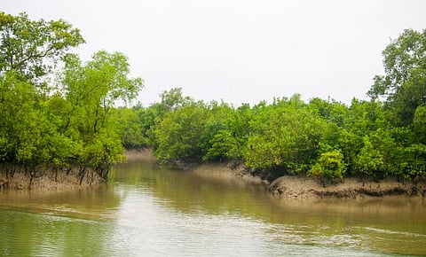 Amphan will bring saline water 25 km inland, cause large scale inundation: IMD