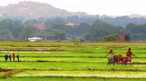 ‘Starvation deaths’ resurface in Jharkhand 