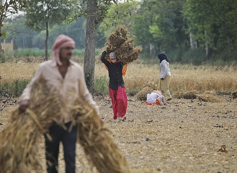 The mandi system will eventually collapse: Rakesh Tikait on new farm laws   