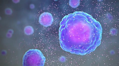 Immune cells release proteins called cytokines which alert the rest of the immune system that a virus is present. www.scientificanimations.com, CC BY-SA