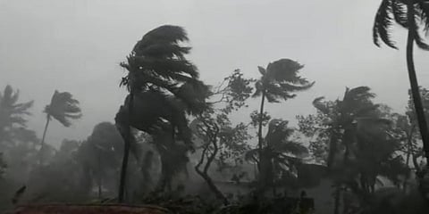 Odisha coast battered by winds, as cyclone Amphan is set to make landfall in neighbouring West Bengal Photo: Ashis Senapati