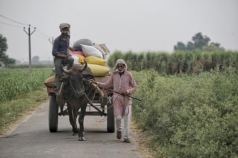 Farmers need support, period