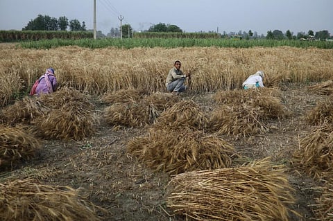 Why the new farm laws will not level the playing field 